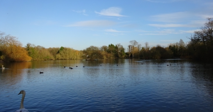 Led Walk: Little Britain Lake, Cowley