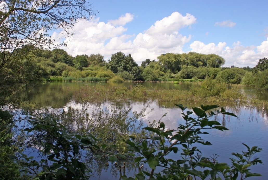 Maple Lodge - Colne Valley