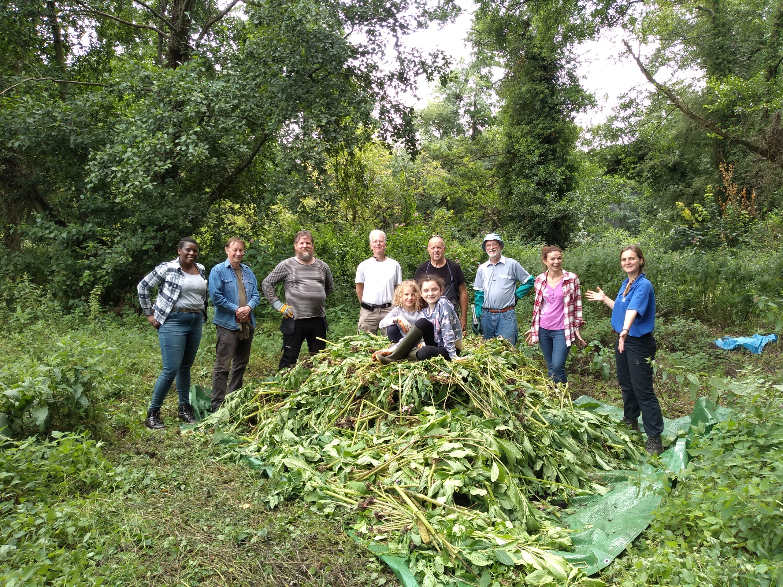 River Rangers with pile of Himilayan Balsam they have removed