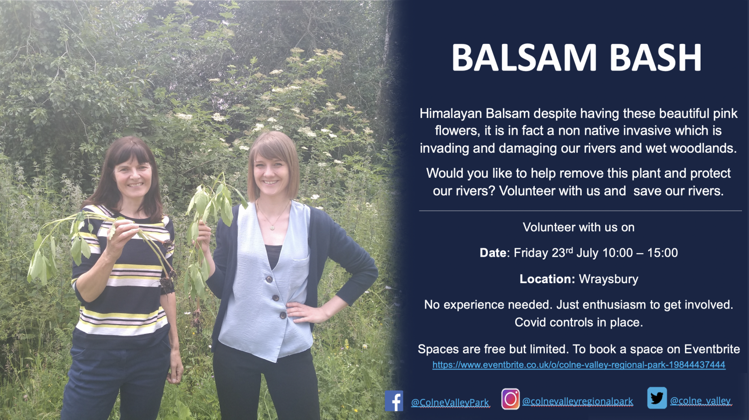 Balsam Bash Wraysbury - Colne Valley Regional Park