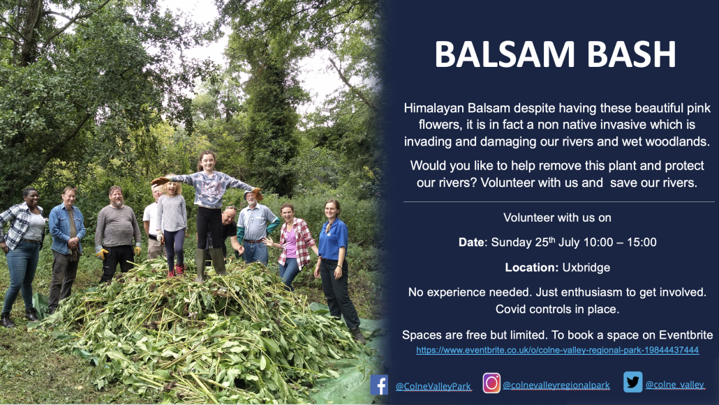 Balsam Bash Uxbridge - Colne Valley Regional Park