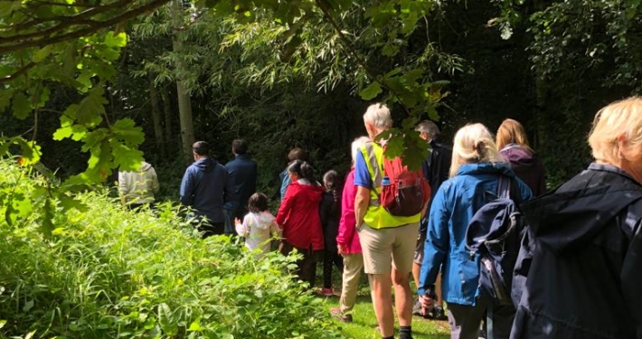 a group of walkers walking on a footpath surrounded by greenery