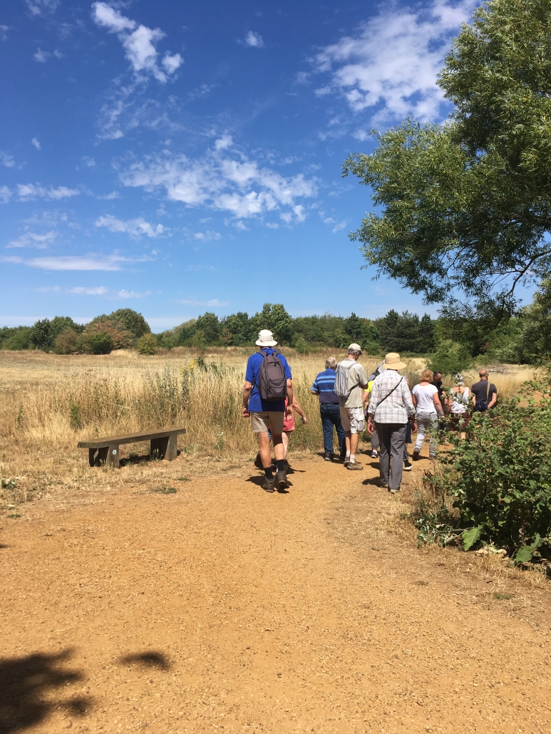 Harmondsworth Moor History Guided Walk - Colne Valley Regional Park