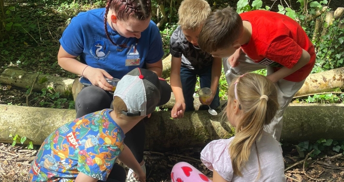 Bug hunt and craft at the Visitor Centre in Denham