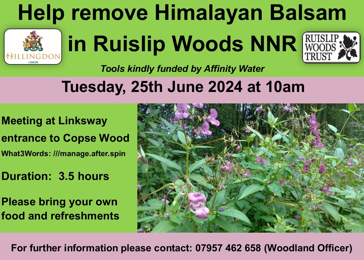 Himalayan Balsam Bashing In Ruislip Woods - Colne Valley Regional Park