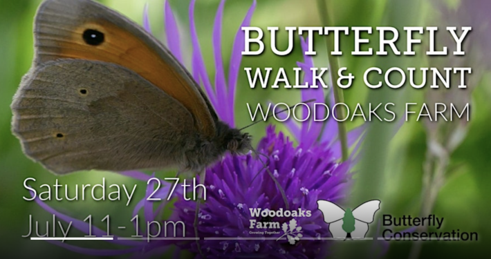 Butterfly Walk & Count at Woodoaks Farm