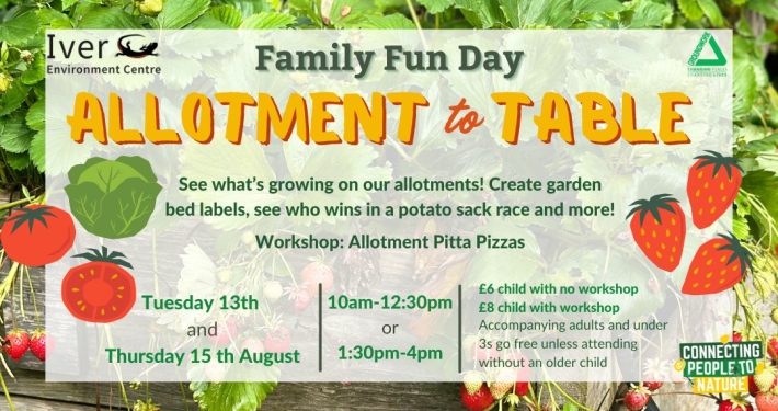 Summer Family Fun Day - Iver Environment Centre