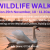 Discover the birds and Wildlife of Ruislip Lido