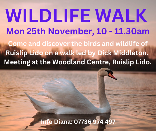 Discover the birds and Wildlife of Ruislip Lido